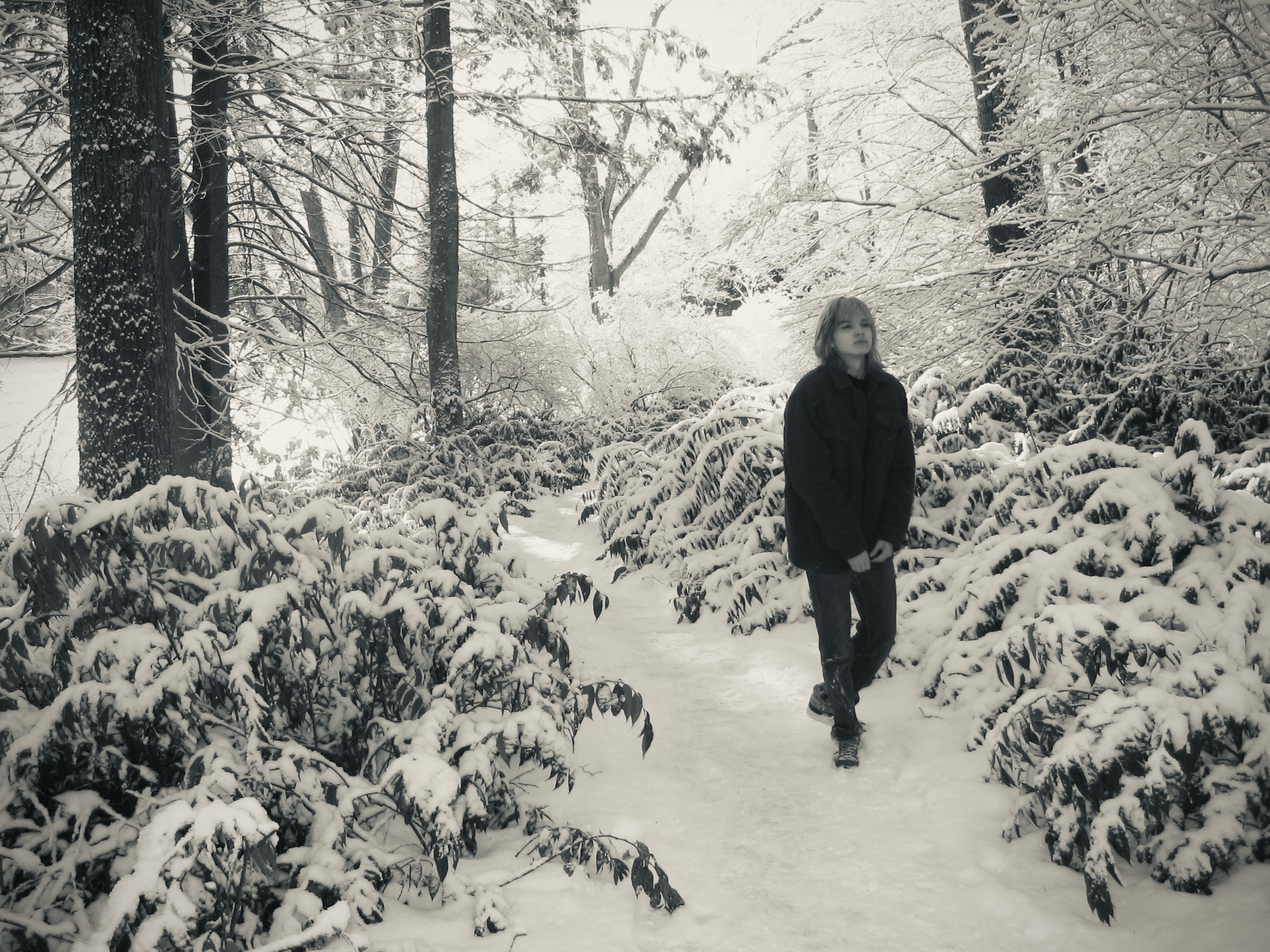 Winter